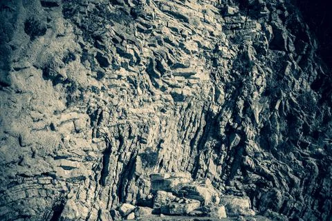 Limestone wall background with small vegetation. Light brown stone texture for 스톡 사진