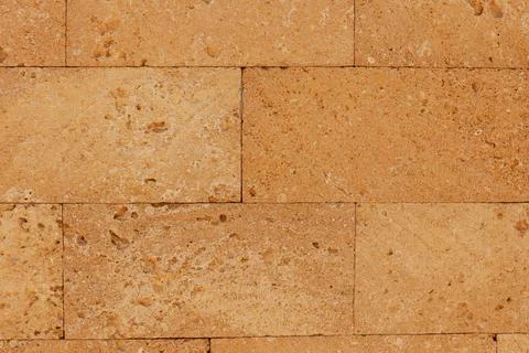 Limestone wall texture with seashells. beautiful vintage wall Stock Photos