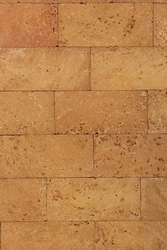 Limestone wall texture with seashells. beautiful vintage wall Stock Photos