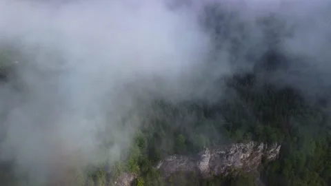 Limestone white rocks in a spruce forest under misty clouds Видео 221788669