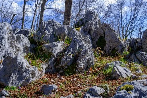 Limestones rocks 写真素材