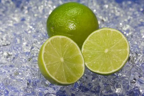 Limette-2008 写真素材