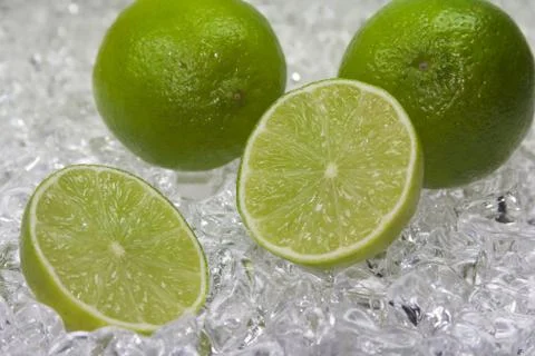 Limette-2008 Stock Photos