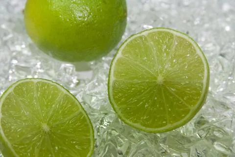 Limette-2008 写真素材