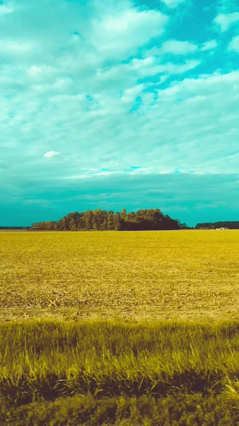 Liminal field while driving Stock Footage 279519908