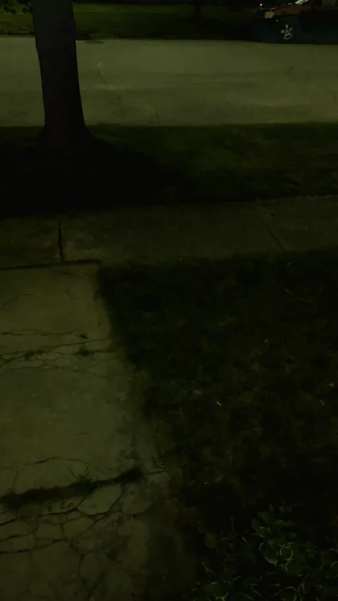 Liminal Sidewalk Video stock 279519603