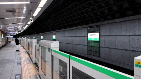 Limited Express Train passing through platform of Tokyo Metro Chiyoda Line Vídeo Stock 189493999