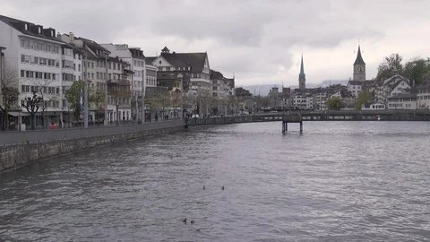 Limmat District 1 bridge and ducks Stock Footage 89178111