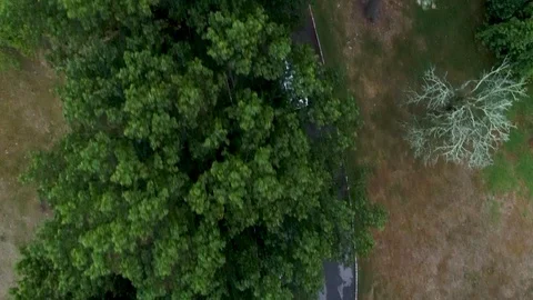 Limo drone shot inbetween trees Stock Footage 108013634