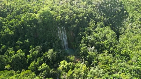 Limon waterfall sunlit forest 20. Stock-Footage 328372601
