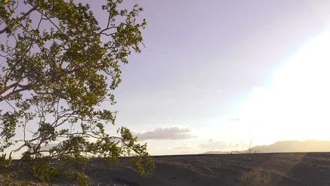 Limousine Drives by in Sunset Video stock 87614410