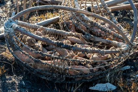 A limp, dry carrot in an old rustic wicker basket. Poor vegetable harvest in  Foto stock