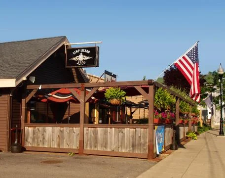 Limp Lizard Stock Photos