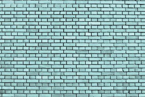 Limpet shell blue brick wall background Stock Photos