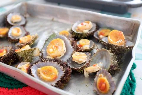 Limpets Stock Photos