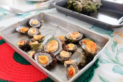 Limpets Stock Photos