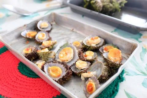 Limpets Stock Photos