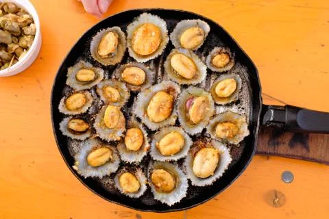 Limpets Stock Photos