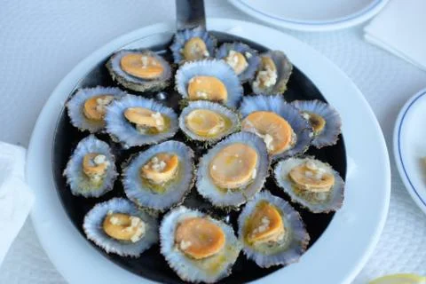 Limpets Stock Photos