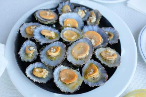 Limpets Stock Photos