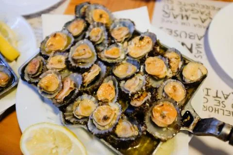 Limpets Stock Photos