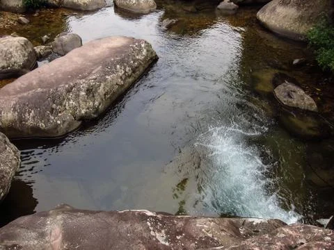 Limpid and Clear Stream Stock Photos