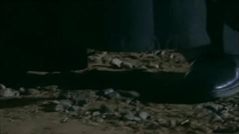 Limping at night Stock Footage 316815284