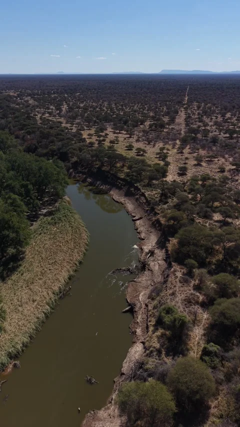 Limpopo River Video stock 342126066