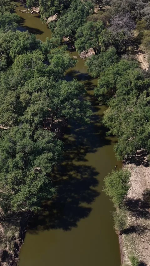 Limpopo River Video stock 342126202