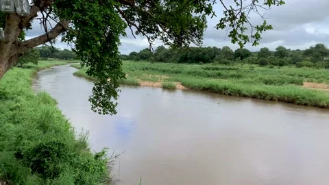 Limpopo River Kruger Park Video stock 171664690