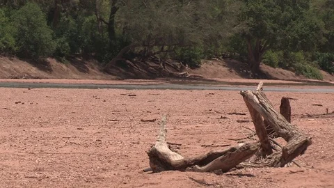 Limpopo river scenic Stock Footage 84644010