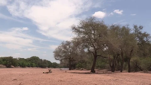 Limpopo river scenic Video stock 84644287