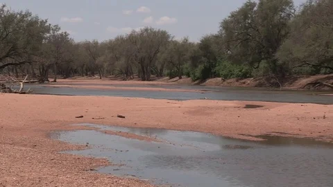 Limpopo river scenic Stock Footage 84644736