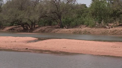 Limpopo river scenic Stock Footage 84644934