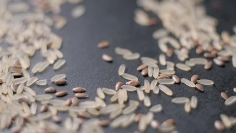 Lin seeds and rice falling slow motion Stock-Footage 99092066