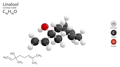 Linalool. Terpene alcohol. 3D model of a molecule. White back. 3D render Stock Footage 289855493