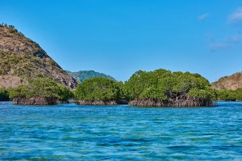 Linapacan island Palawan Philippines Stock Photos