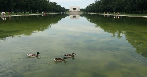 Lincoln Memorial over the reflecting pool in Washington DC USA Stock Footage 100854040