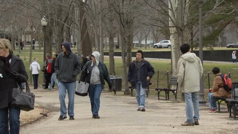 Lincoln Memorial Reflecting Pool Stock Footage 123814825