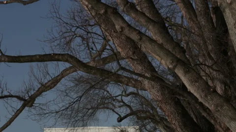 Lincoln Memorial in Washington DC Stock Footage 35788367