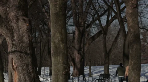 Lincoln Memorial in Washington DC Video stock 35790669