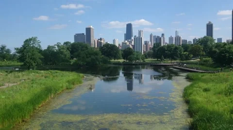 Lincoln Park Stock Footage 67501226