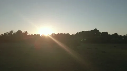Lincolnshire sunset DLog Stock Footage 203960348