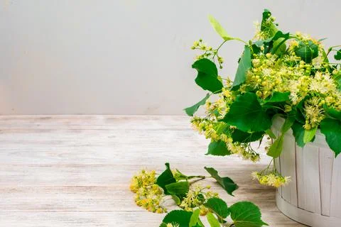 Linden flowers in a white basket on a white background. Linden flower tea. Stock Photos