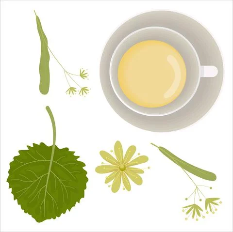 Linden herbal tea set with decor. Flat illustration. Stock Illustration