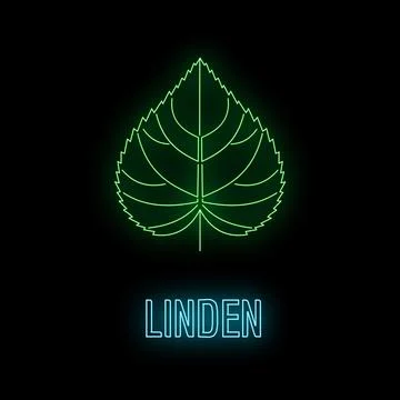 Linden leaf and name glowing neon light Stock Illustration