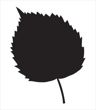 Linden leaf in the doodle style Illustrazione stock