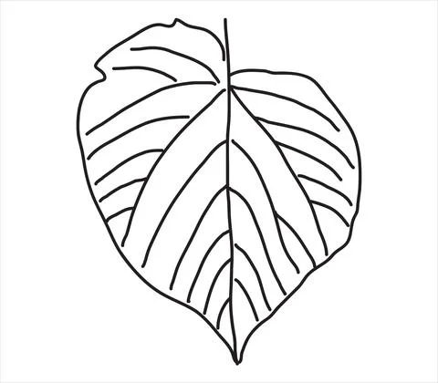 Linden leaf in the doodle style. Stock Illustration