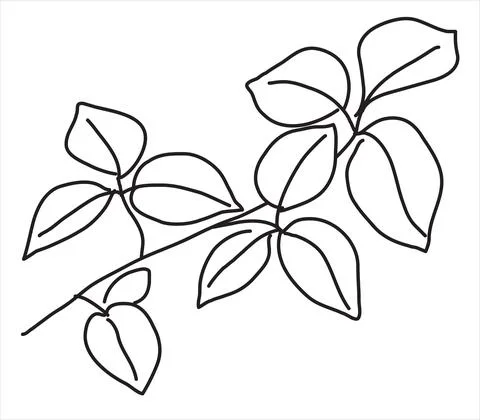 Linden leaf in the doodle style Stock Illustration