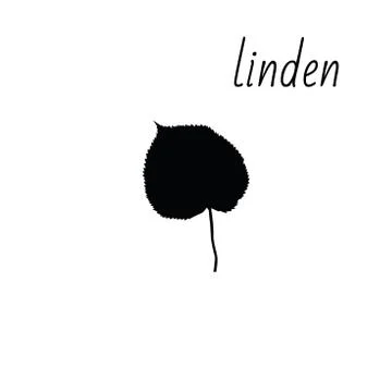 Linden leaf icon isolated on clean background. Stock Illustration